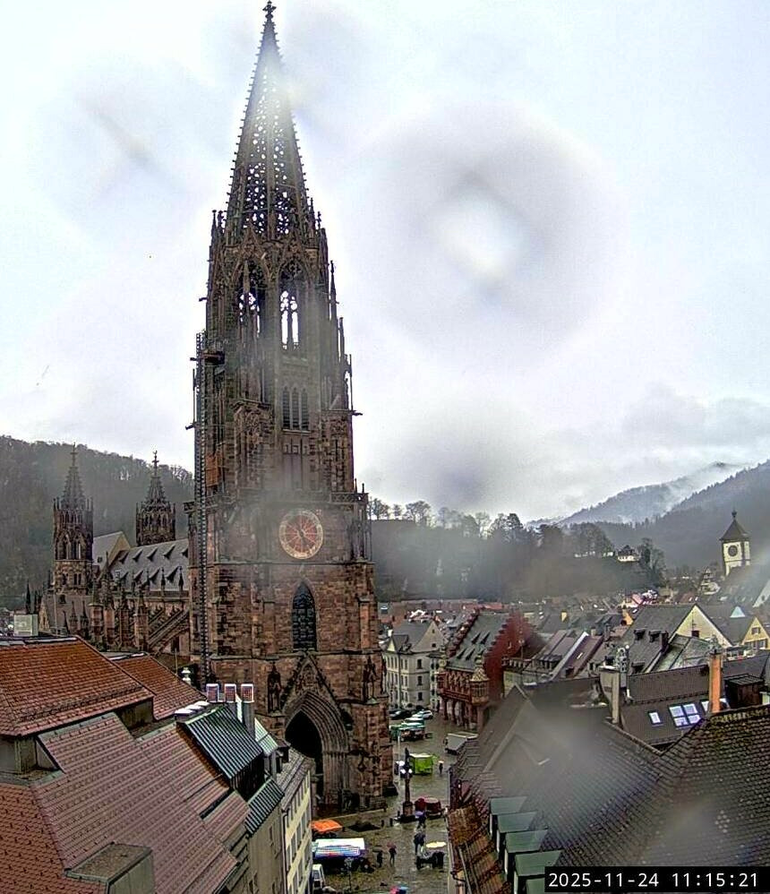 Freiburger Münster